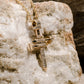 Nailed to the Cross